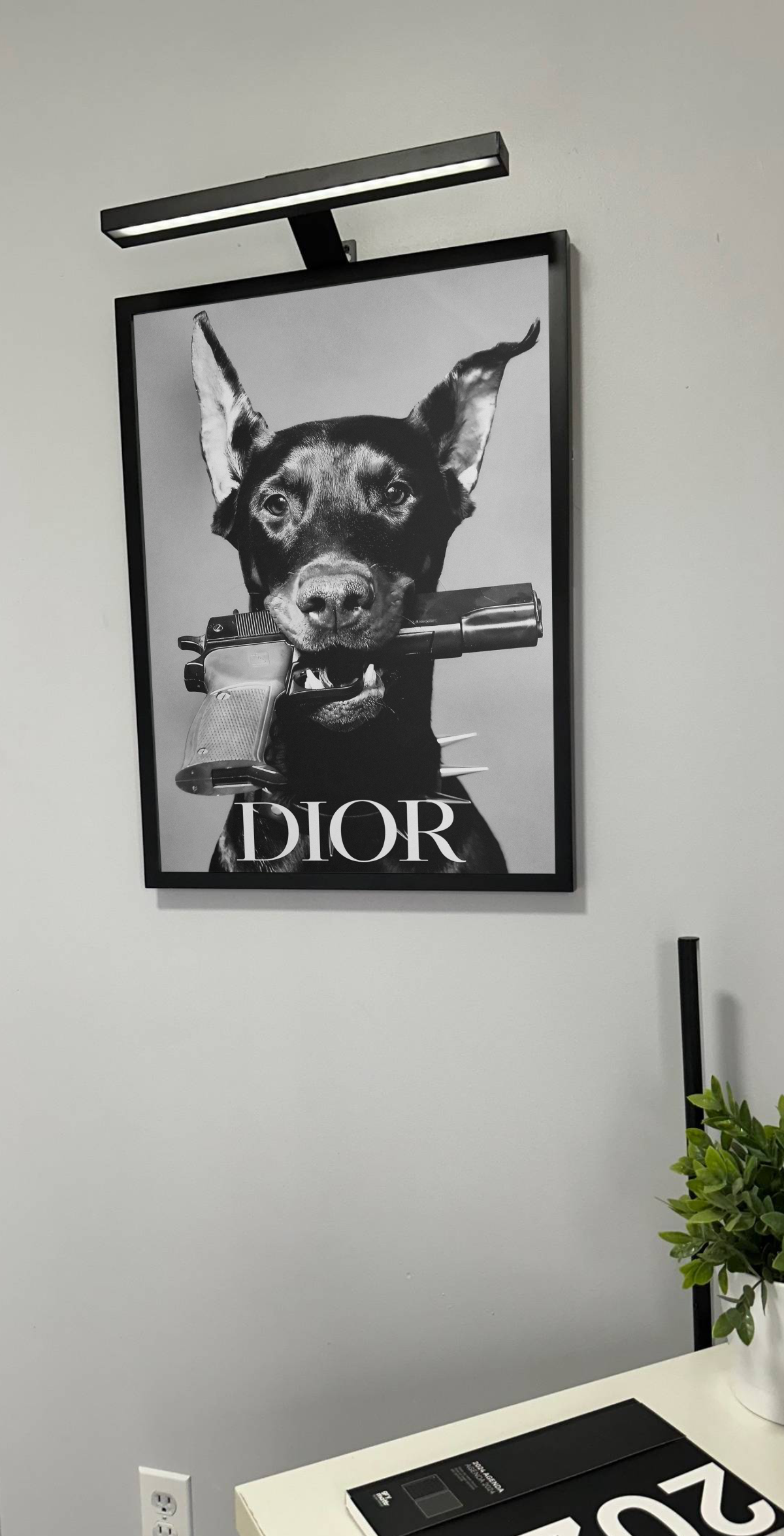 DIOR